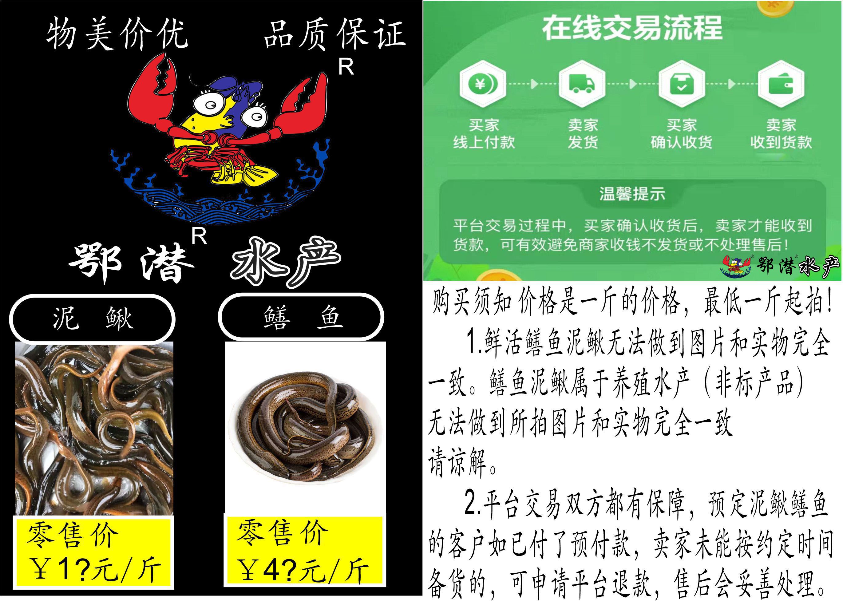 鳝鱼7.jpg