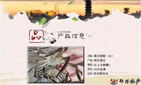 35公螃蟹(图1) 35公螃蟹(图1)