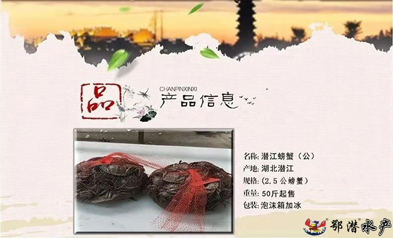25公螃蟹(图1) 25公螃蟹(图1)