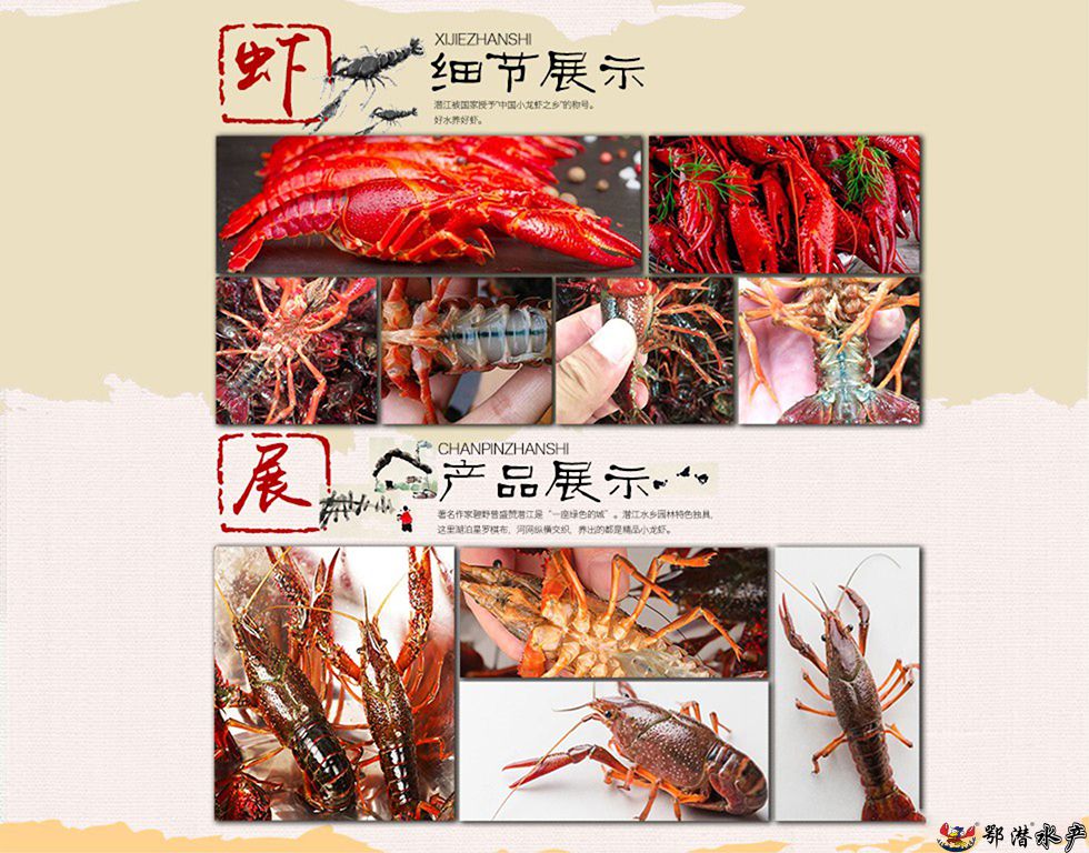 2-4小青(图4)