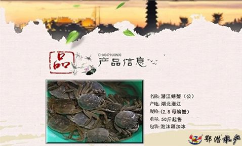 28母螃蟹(图1) 28母螃蟹(图1)