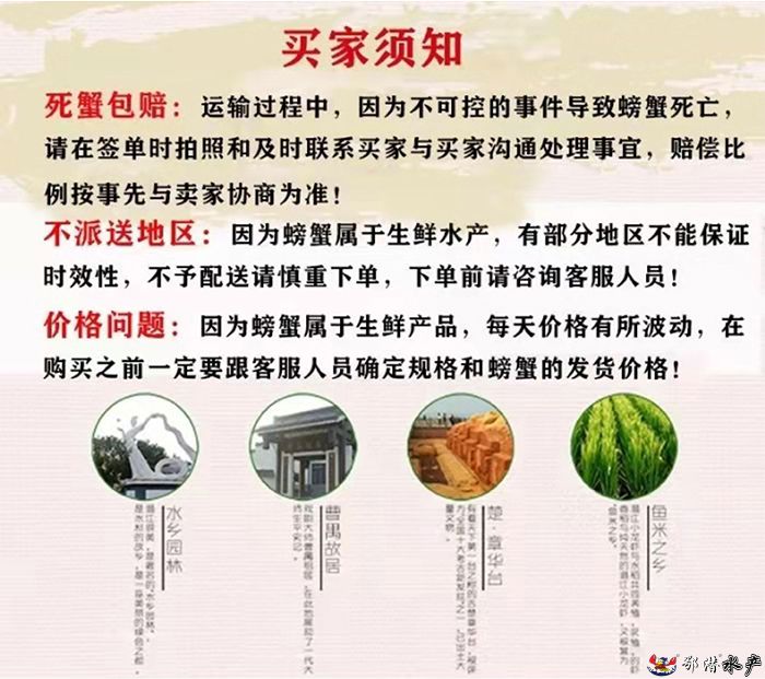28母螃蟹(图5) 28母螃蟹(图5)