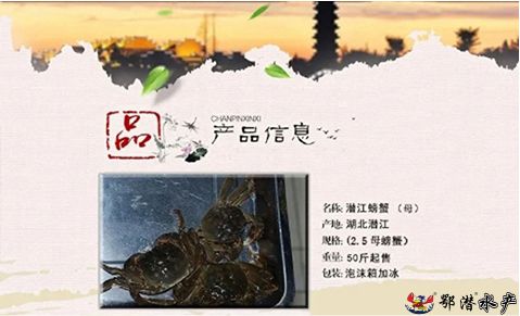 25母螃蟹(图1) 25母螃蟹(图1)