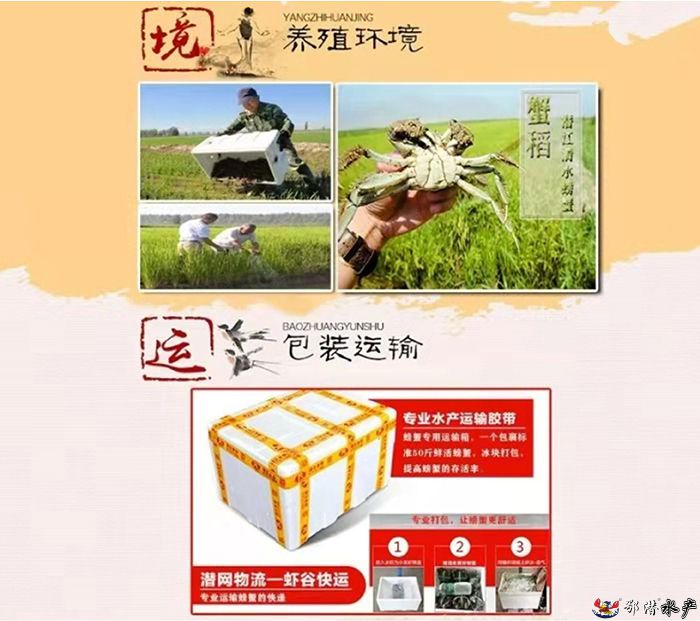147母螃蟹(图4) 147母螃蟹(图4)