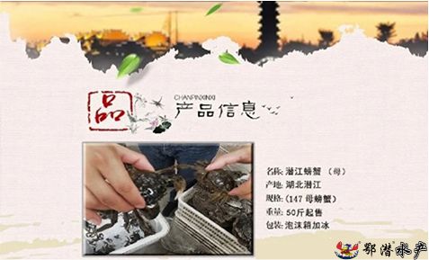 147母螃蟹(图1) 147母螃蟹(图1)