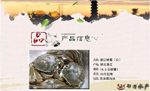 45公螃蟹(图1) 45公螃蟹(图1)