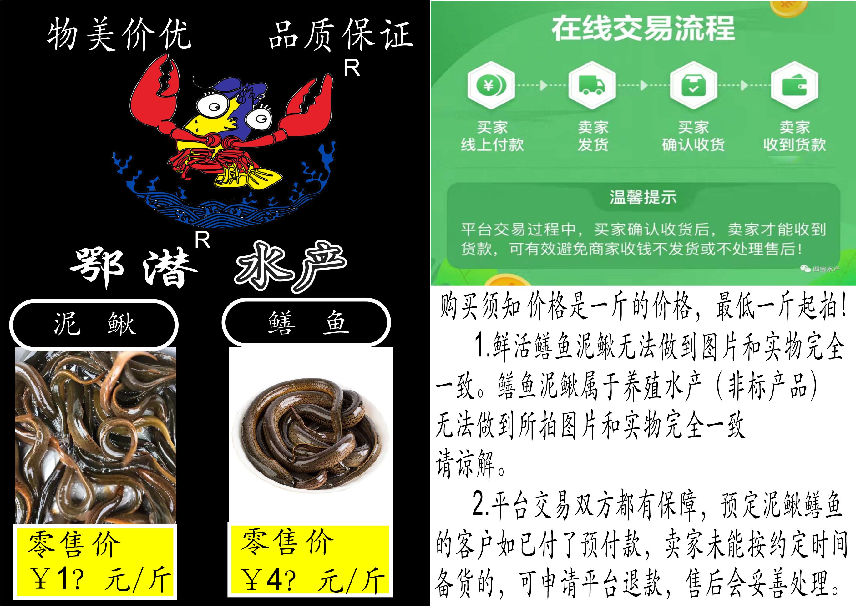 鳝鱼泥鳅(图1)