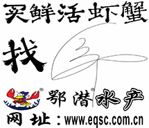 商标